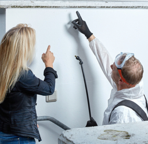 What Should You Look For When Hiring A Pest Control Company?